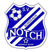 Notch logo