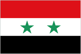 Syria logo