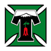 Deportes Temuco logo