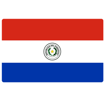 Paraguay logo