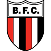 Botafogo SP logo
