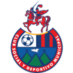Municipal logo