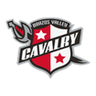 Brazos Valley logo