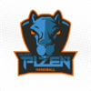 Plzen W logo