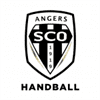 Angers logo