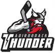 Adirondack Thunder logo