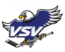 Villach logo