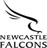 Newcastle Falcons logo