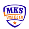 Imielin W logo